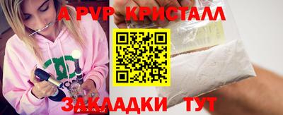 стаф Владимир