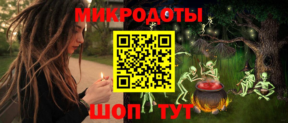 Галлюциногенные грибы Psilocybe Бузулук