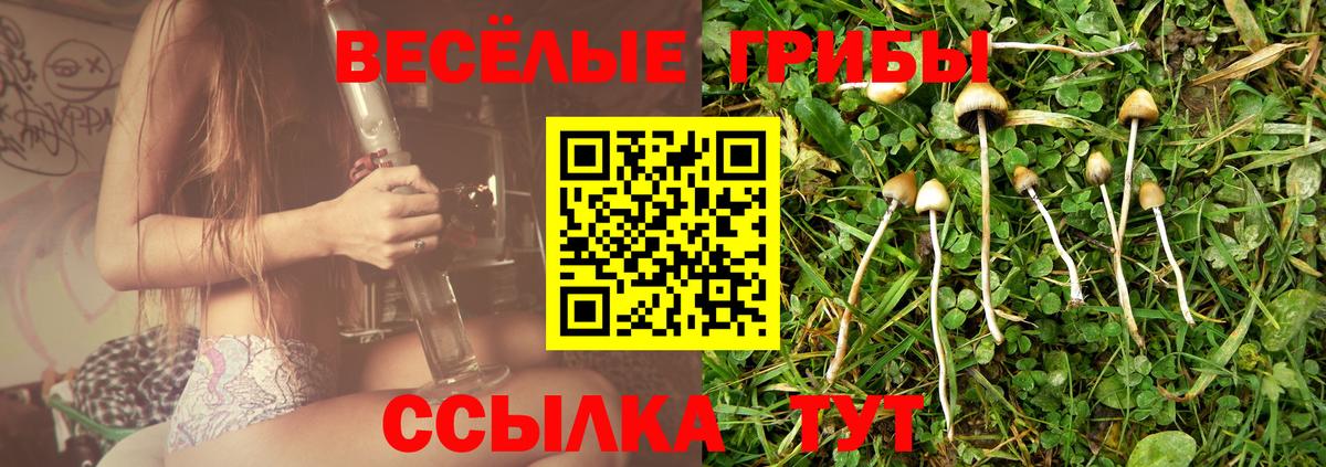 где найти наркотики  Галлюциногенные грибы Psilocybine cubensis  Вход с VPN  Бузулук 