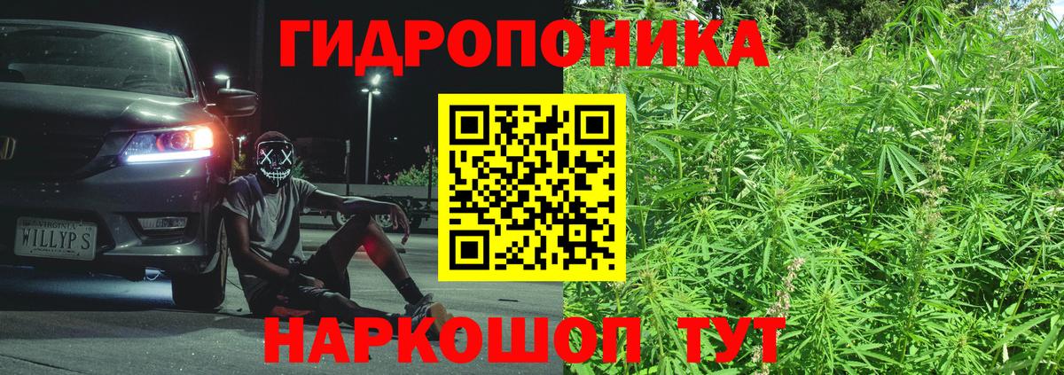 МАРИХУАНА семена Бузулук